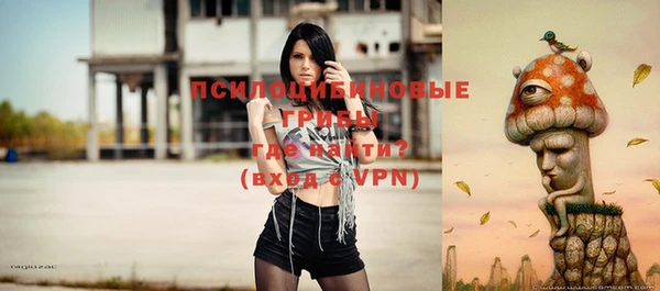 экстази Арсеньев